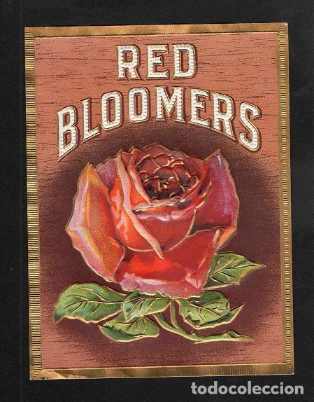Vitolas de colecci&oacute;n: Vitola, original litograf&iacute;a. Antigua litograf&iacute;a de caja de tabacos. Red Bloomers.