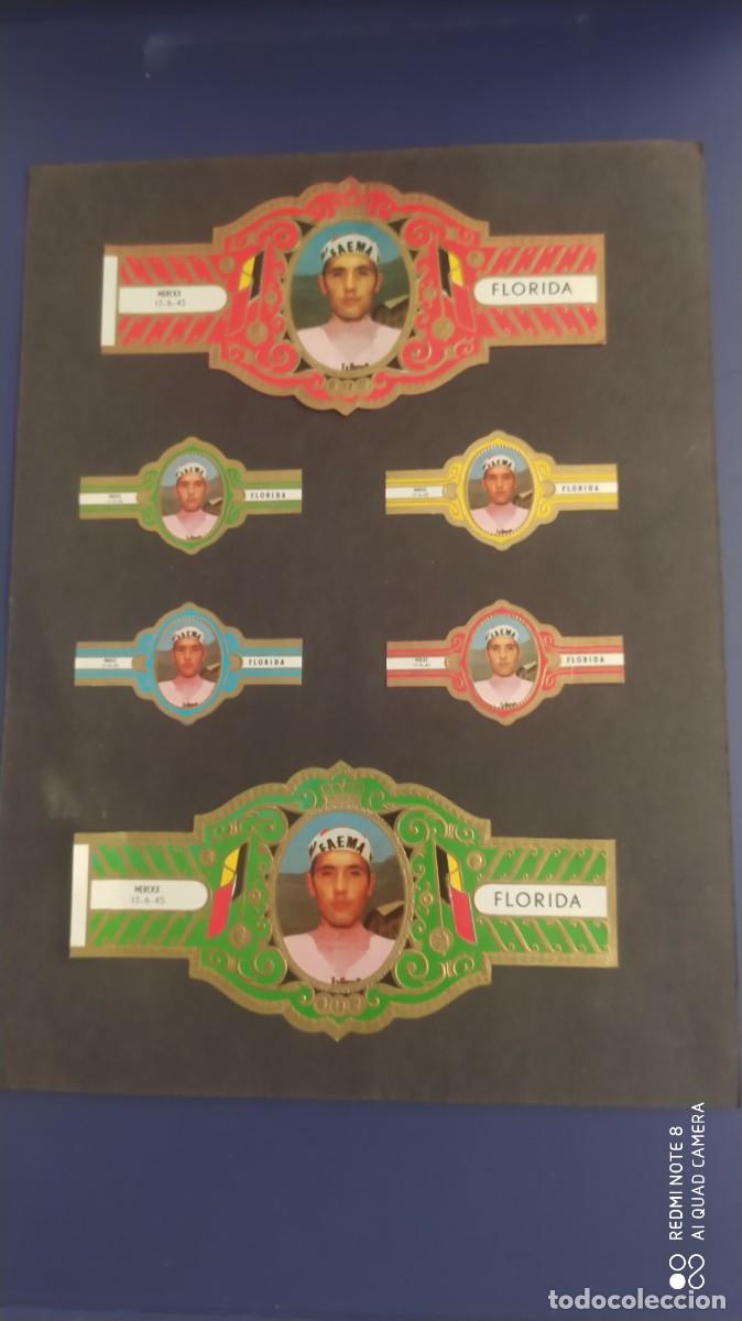 Vitolas de colecci&oacute;n: VITOLAS EDDY MERCK BLASONES ROMANOS Y MATRICULAS