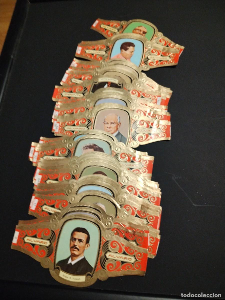 Vitolas de colecci&oacute;n: Vitolas - Lote de 55 votolas-serie premios Nobel
