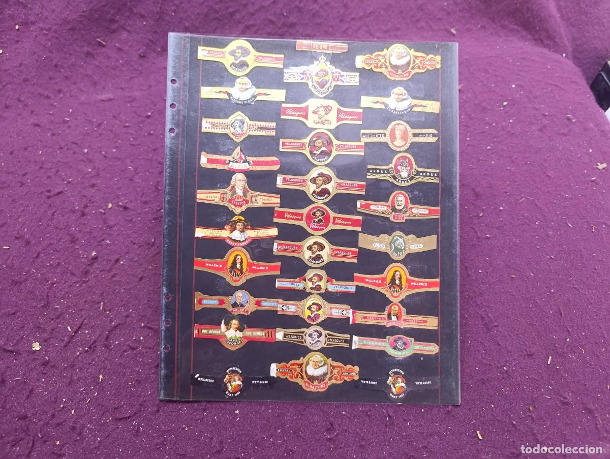 Vitolas de colecci&oacute;n: CV2, Colecci&oacute;n de Vitolas, presentados en hoja de &aacute;lbum.