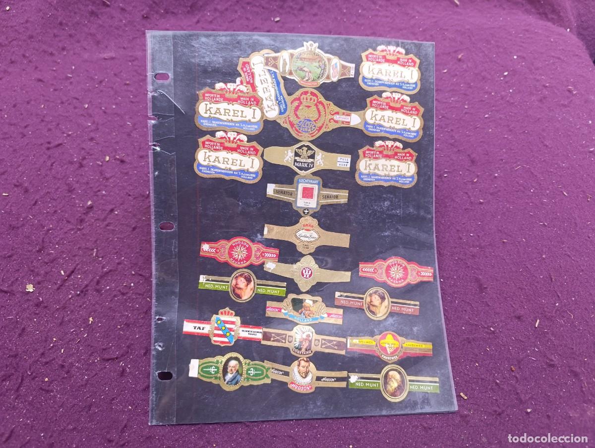 Vitolas de colecci&oacute;n: CV4, Colecci&oacute;n de Vitolas, presentados en hoja de &aacute;lbum.