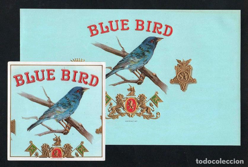 Vitolas de colecci&oacute;n: Vitolas, original litograf&iacute;as. Conjunto 2 litograf&iacute;as tabaqueras antiguas. Blue Bird.