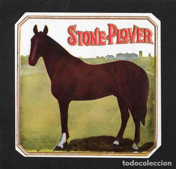 Vitolas de colecci&oacute;n: Vitola, original litograf&iacute;a. Antigua litograf&iacute;a de caja de tabacos. Stone Plover.