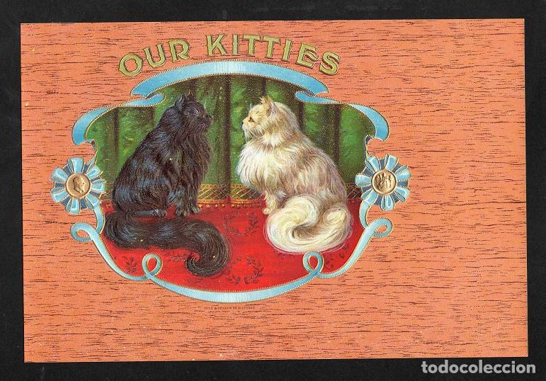 Vitolas de colecci&oacute;n: Vitola, original litograf&iacute;a. Antigua litograf&iacute;a de caja de tabacos. Our Kitties.