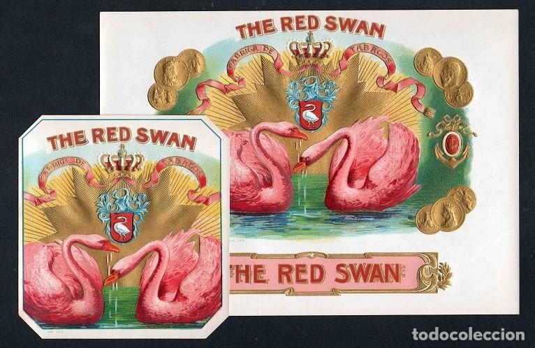 Vitolas de colecci&oacute;n: Vitolas, original litograf&iacute;as. Conjunto 2 litograf&iacute;as tabaqueras antiguas. The Red Swan.