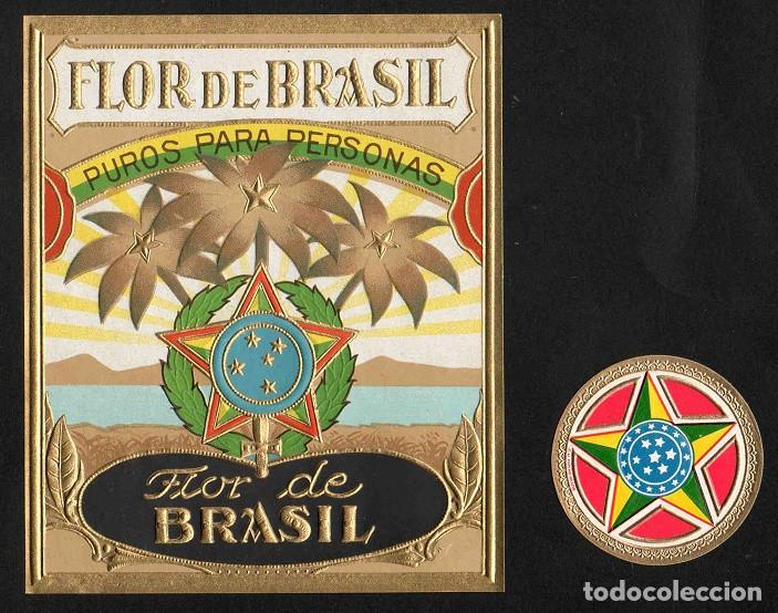 Vitolas de colecci&oacute;n: Vitolas, original litograf&iacute;as. Antiguas litograf&iacute;as de cajas de tabacos. Flor de Brasil.
