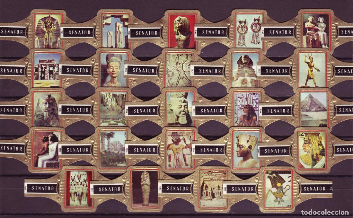 Vitolas de colecci&oacute;n: SENATOR, EGIPTO, NEGRO, 24 VITOLAS, SERIE COMPLETA.
