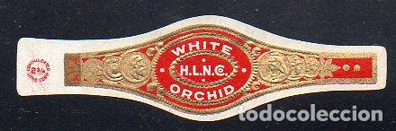 Vitolas de colecci&oacute;n: VITOLA CLASICA: 056011, WHITE ORCHID, ESTADOS UNIDOS.