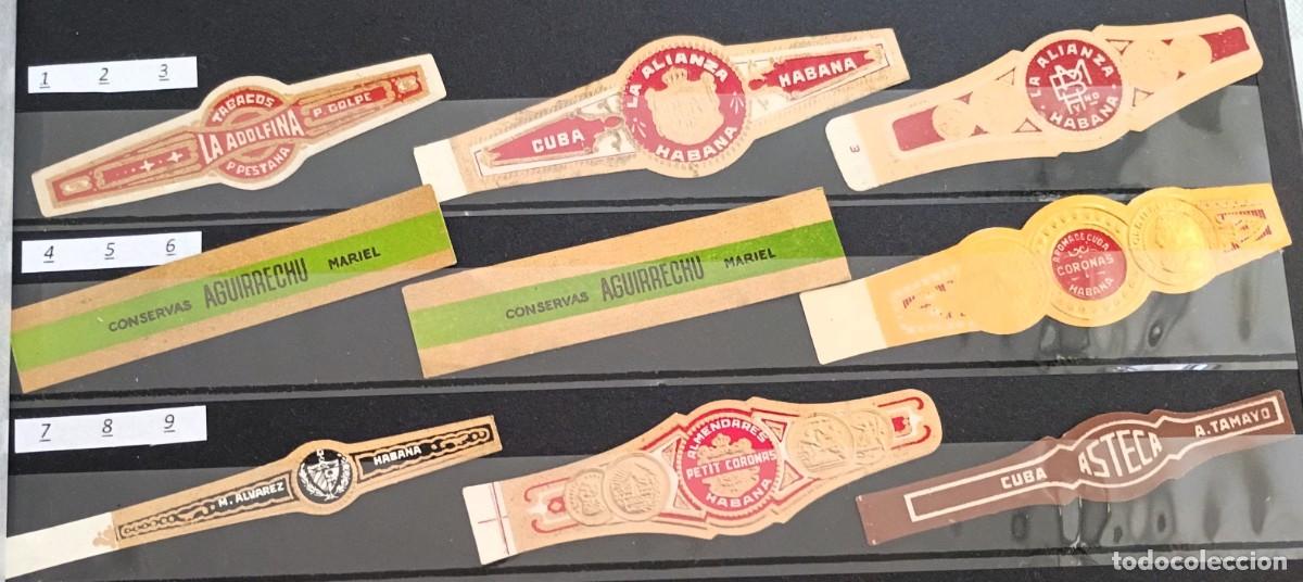 Vitolas de colecci&oacute;n: Chinchal, Oferta Lote 9 Vitolas cubanas clasicas, de coleccion, todas diferentes, Set 1