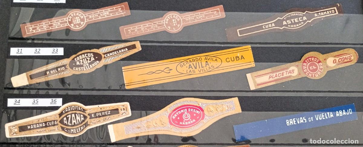 Vitolas de colecci&oacute;n: Chinchal, Oferta Lote 9 Vitolas cubanas clasicas, de coleccion, todas diferentes, Set 4