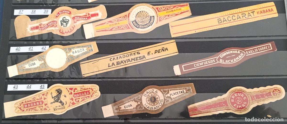 Vitolas de colecci&oacute;n: Chinchal, Oferta Lote 9 Vitolas cubanas clasicas, de coleccion, todas diferentes, Set 5