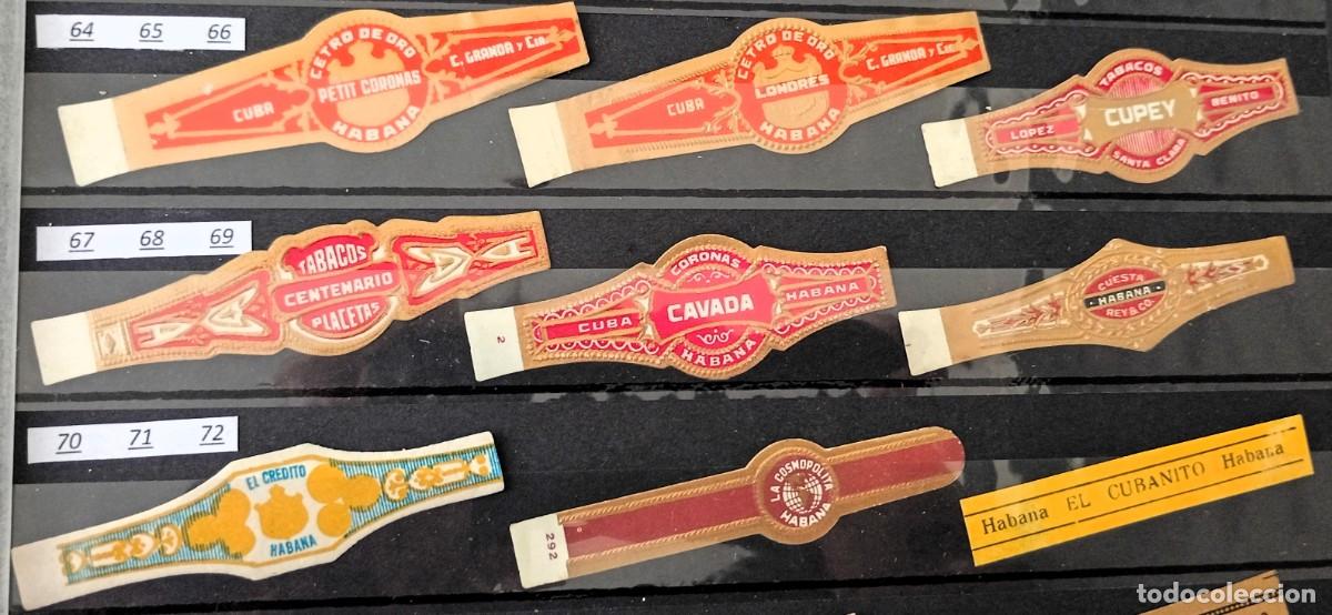 Vitolas de colecci&oacute;n: Chinchal, Oferta Lote 9 Vitolas cubanas clasicas, de coleccion, todas diferentes, Set 8