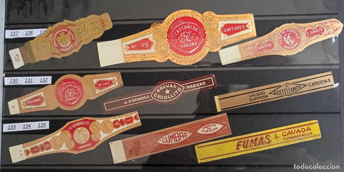 Vitolas de colecci&oacute;n: Chinchal, Oferta Lote 9 Vitolas cubanas clasicas, de coleccion, todas diferentes, Set 15