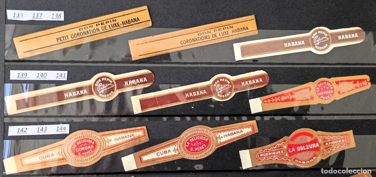 Vitolas de colecci&oacute;n: Chinchal, Oferta Lote 9 Vitolas cubanas clasicas, de coleccion, todas diferentes, Set 16