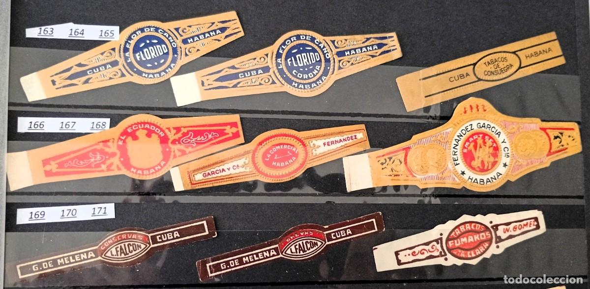Vitolas de colecci&oacute;n: Chinchal, Oferta Lote 9 Vitolas cubanas clasicas, de coleccion, todas diferentes, Set 19