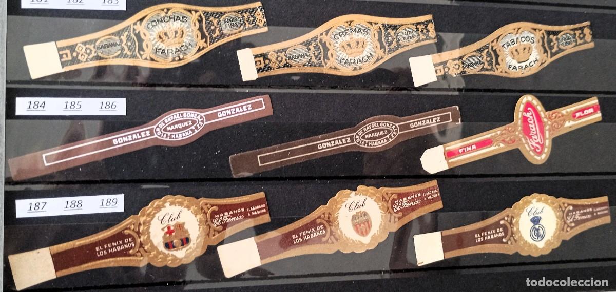 Vitolas de colecci&oacute;n: Chinchal, Oferta Lote 9 Vitolas cubanas clasicas, de coleccion, todas diferentes, Set 21