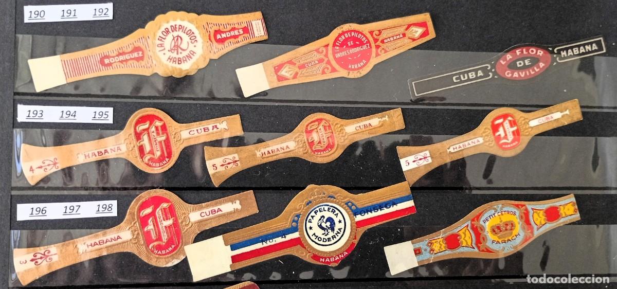 Vitolas de colecci&oacute;n: Chinchal, Oferta Lote 9 Vitolas cubanas clasicas, de coleccion, todas diferentes, Set 22