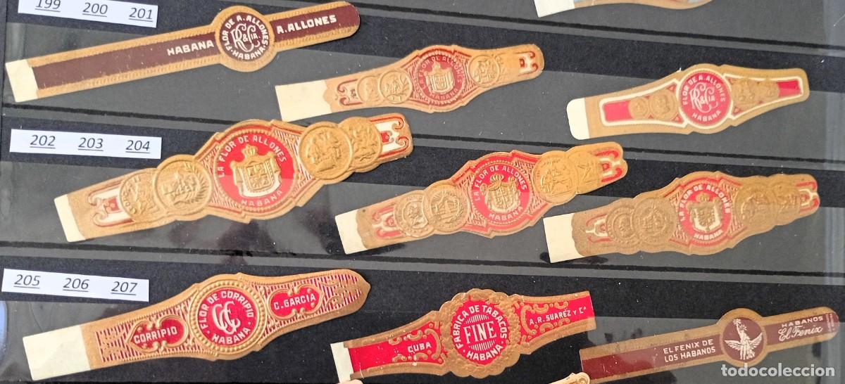 Vitolas de colecci&oacute;n: Chinchal, Oferta Lote 9 Vitolas cubanas clasicas, de coleccion, todas diferentes, Set 23