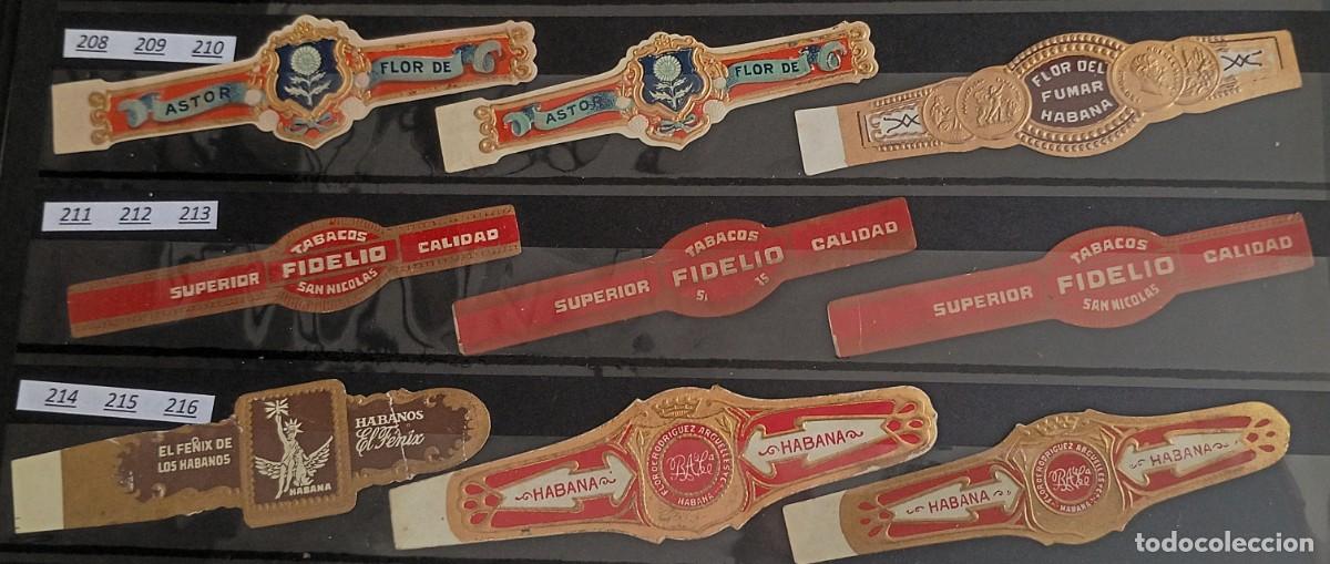 Vitolas de colecci&oacute;n: Chinchal, Oferta Lote 9 Vitolas cubanas clasicas, de coleccion, todas diferentes, Set 24