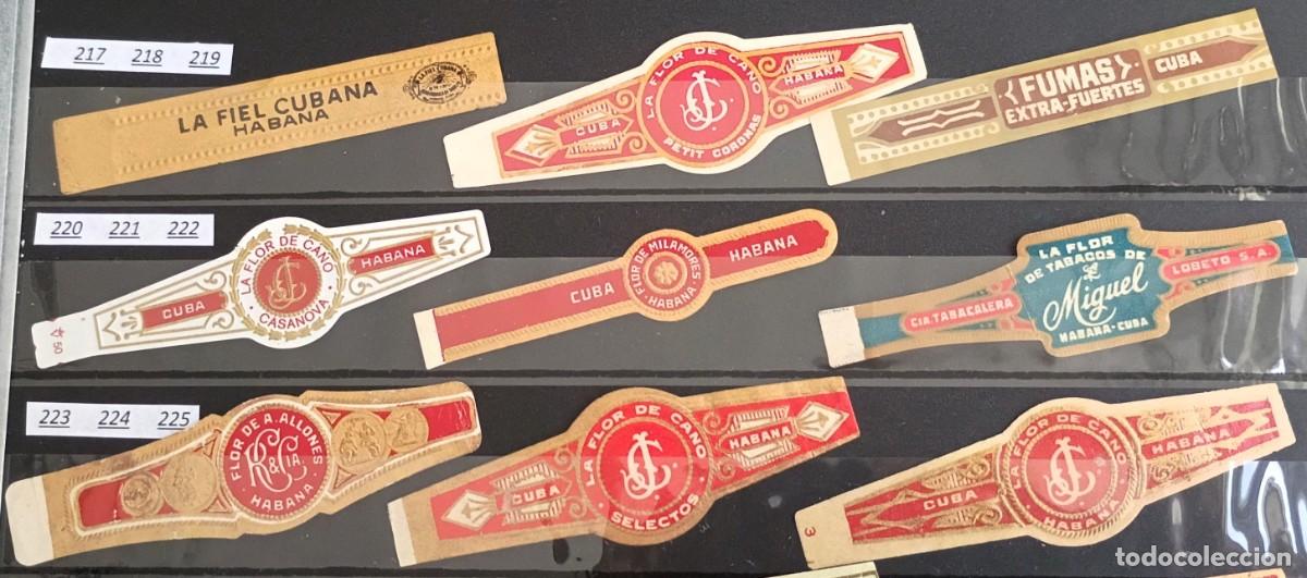 Vitolas de colecci&oacute;n: Chinchal, Oferta Lote 9 Vitolas cubanas clasicas, de coleccion, todas diferentes, Set 25