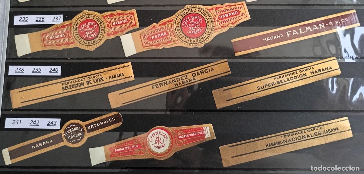 Vitolas de colecci&oacute;n: Chinchal, Oferta Lote 9 Vitolas cubanas clasicas, de coleccion, todas diferentes, Set 27
