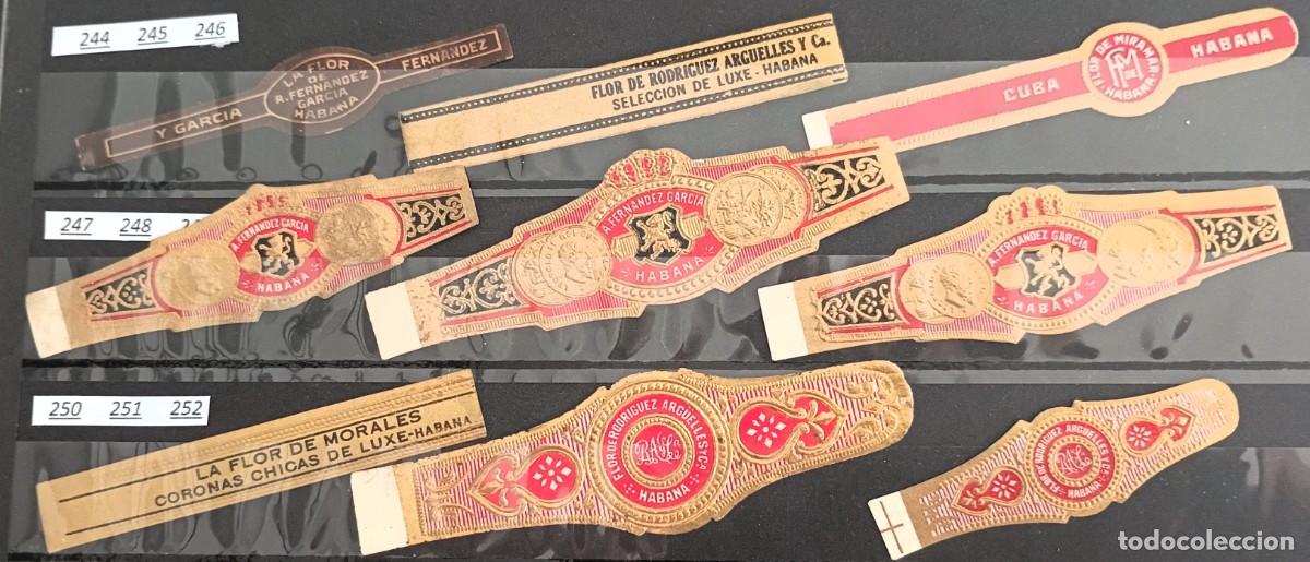 Vitolas de colecci&oacute;n: Chinchal, Oferta Lote 9 Vitolas cubanas clasicas, de coleccion, todas diferentes, Set 28