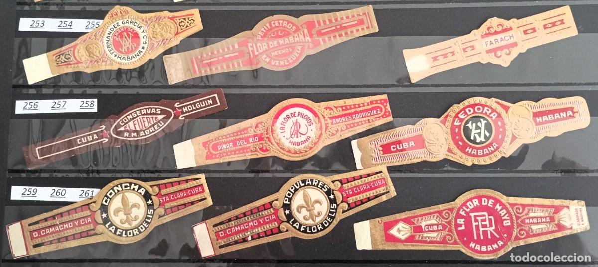 Vitolas de colecci&oacute;n: Chinchal, Oferta Lote 9 Vitolas cubanas clasicas, de coleccion, todas diferentes, Set 29