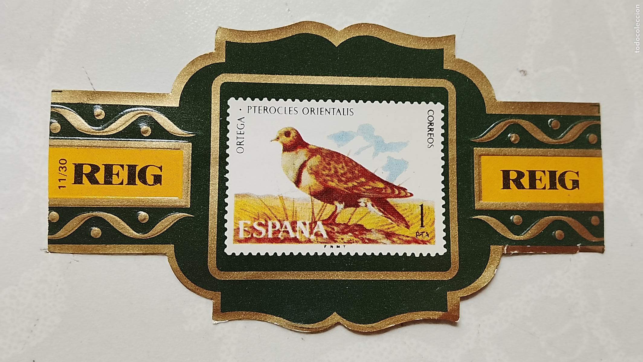 Collection cigar bands: vitola de puros o tabacos REIG - LA DE LA FOTO - OFERTAS POR LOTES COMBINADOS - COLECIONISMO