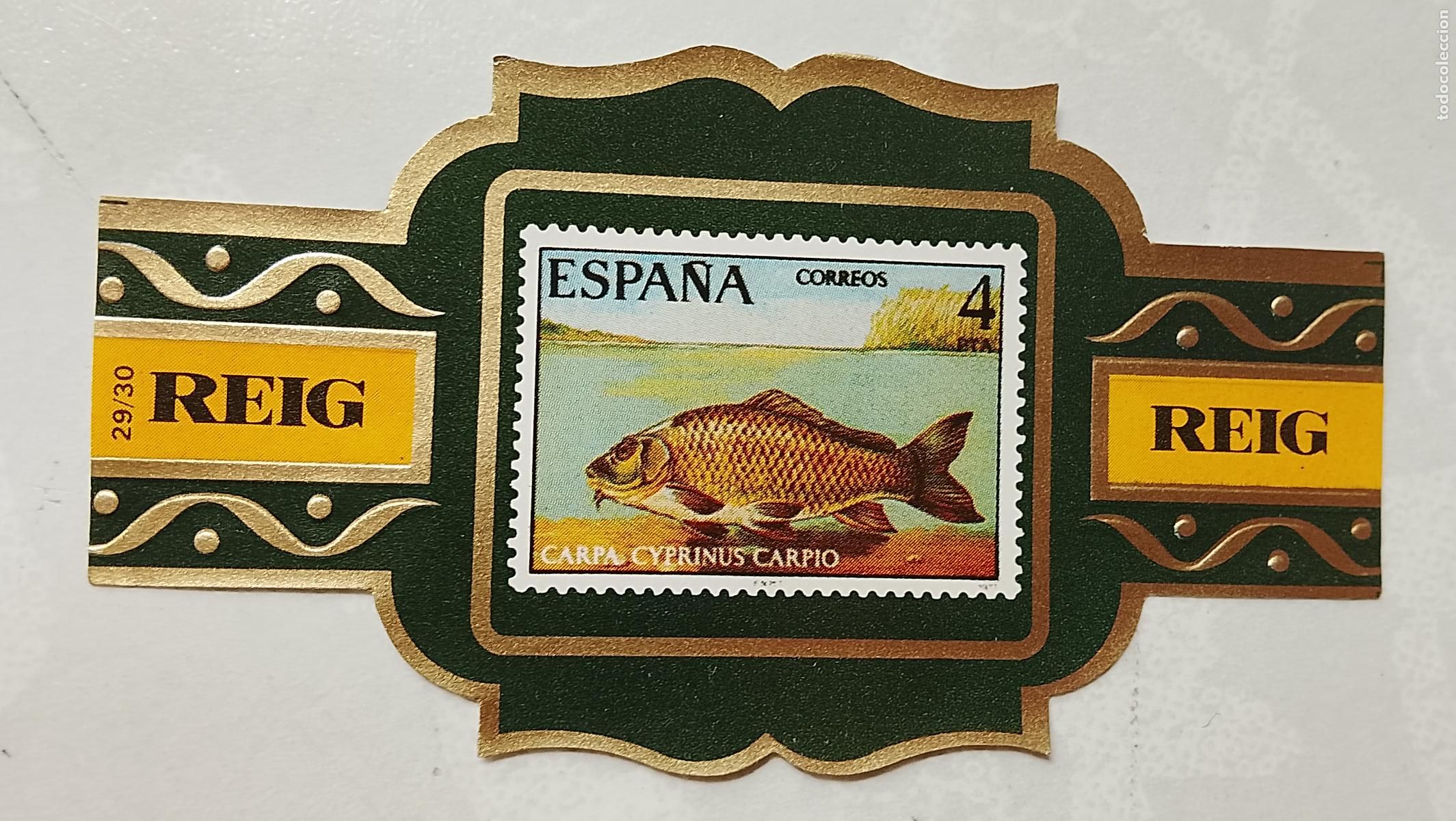 Vitolas de colecci&oacute;n: vitola de puros o tabacos REIG - LA DE LA FOTO - OFERTAS POR LOTES COMBINADOS - COLECIONISMO