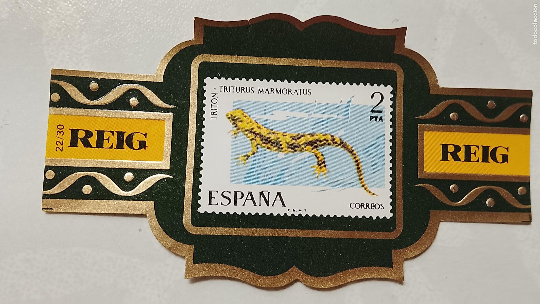 Vitolas de colecci&oacute;n: vitola de puros o tabacos REIG - LA DE LA FOTO - OFERTAS POR LOTES COMBINADOS - COLECIONISMO