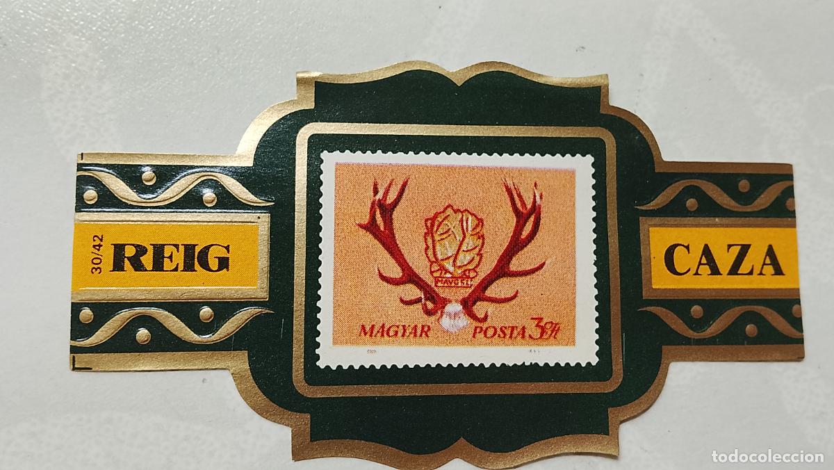 Vitolas de colecci&oacute;n: vitola de puros o tabacos REIG - LA DE LA FOTO - OFERTAS POR LOTES COMBINADOS - COLECIONISMO