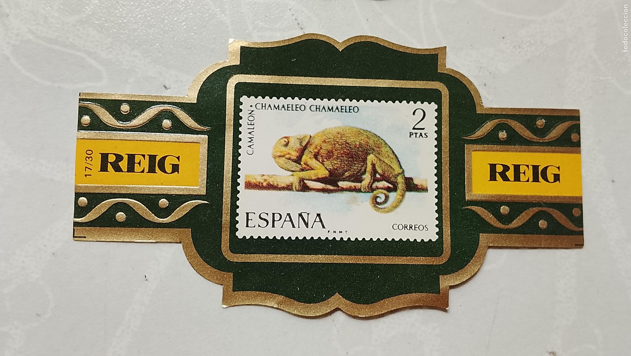 Vitolas de colecci&oacute;n: vitola de puros o tabacos REIG - LA DE LA FOTO - OFERTAS POR LOTES COMBINADOS - COLECIONISMO