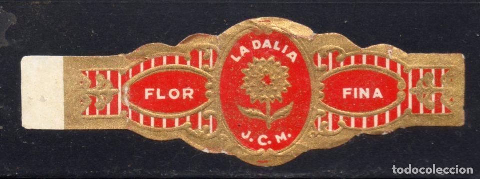 Vitolas de colecci&oacute;n: VITOLA CLASICA: 186004, TEMA FLORES, LA DALIA, ISLAS CANARIAS.