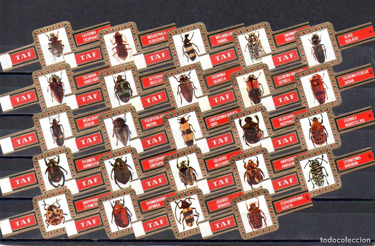 Vitolas de colecci&oacute;n: TAF, ESCARABAJOS, 24 VITOLAS, SERIE COMPLETA.