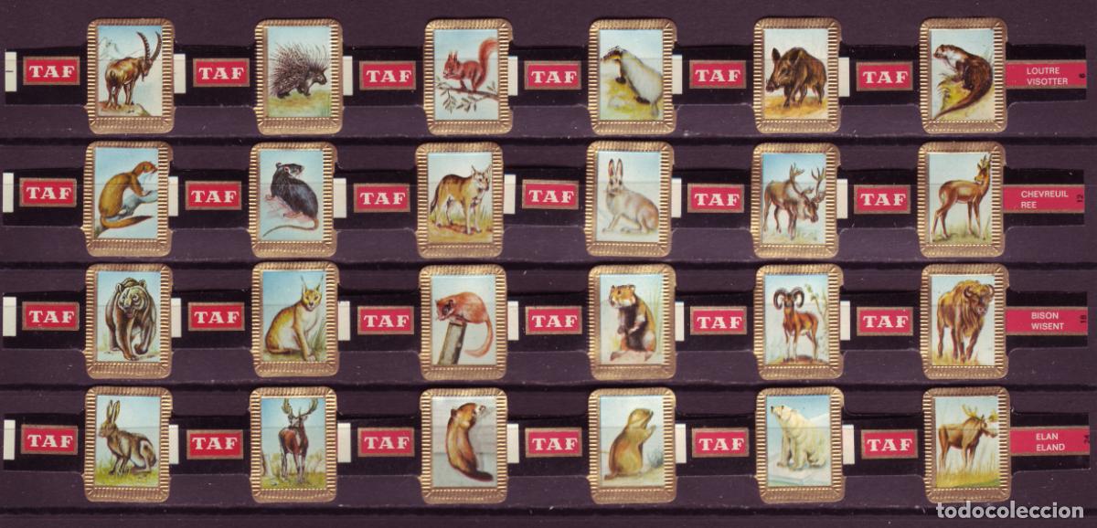 Vitolas de colecci&oacute;n: TAF, FAUNA, SERIE 1&ordf;, 24 VITOLAS, SERIE COMPLETA.