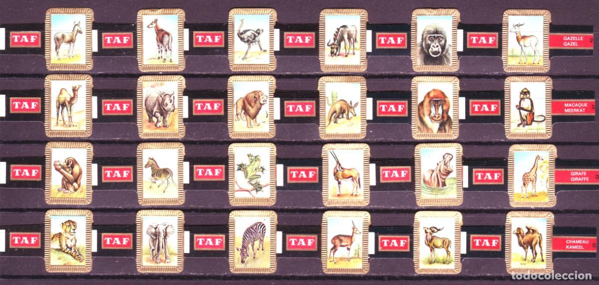 Vitolas de colecci&oacute;n: TAF, FAUNA, SERIE 2&ordf;, 24 VITOLAS, SERIE COMPLETA.