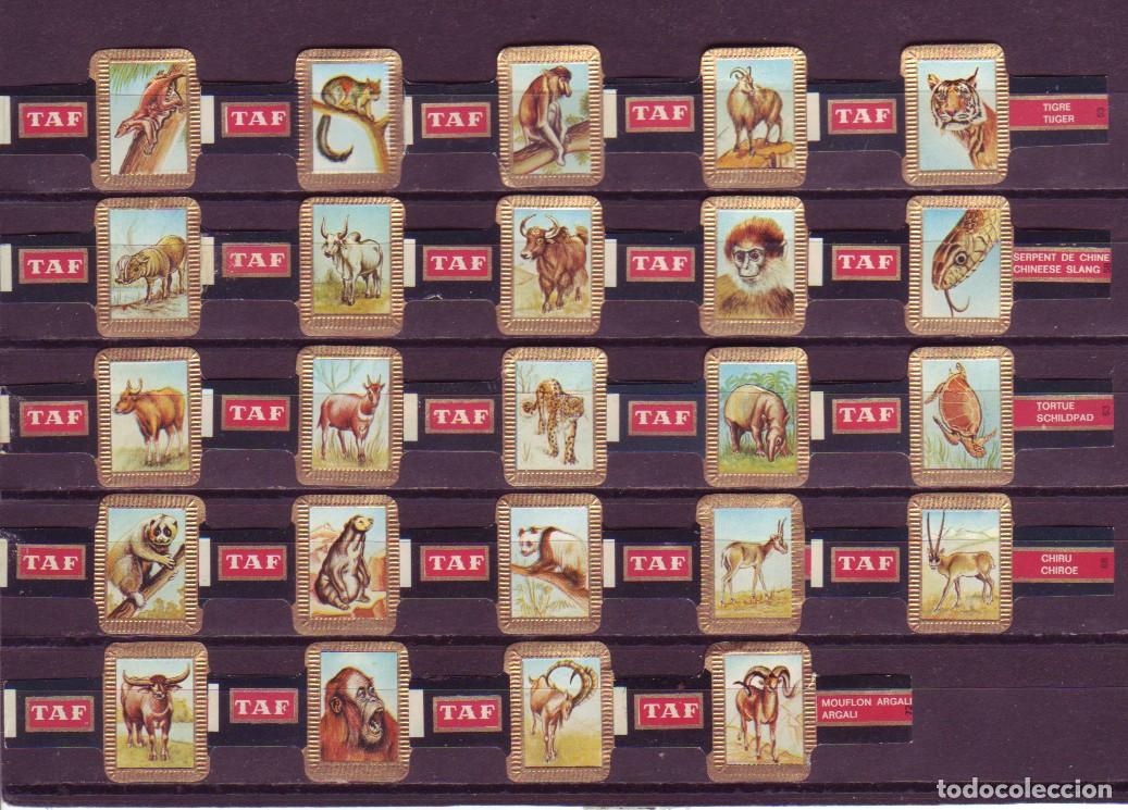 Vitolas de colecci&oacute;n: TAF, FAUNA, SERIE 3&ordf;, 24 VITOLAS, SERIE COMPLETA.