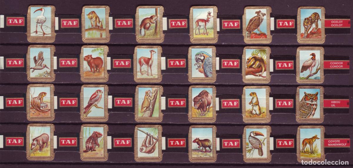 Vitolas de colecci&oacute;n: TAF, FAUNA, SERIE 4&ordf;, 24 VITOLAS, SERIE COMPLETA.