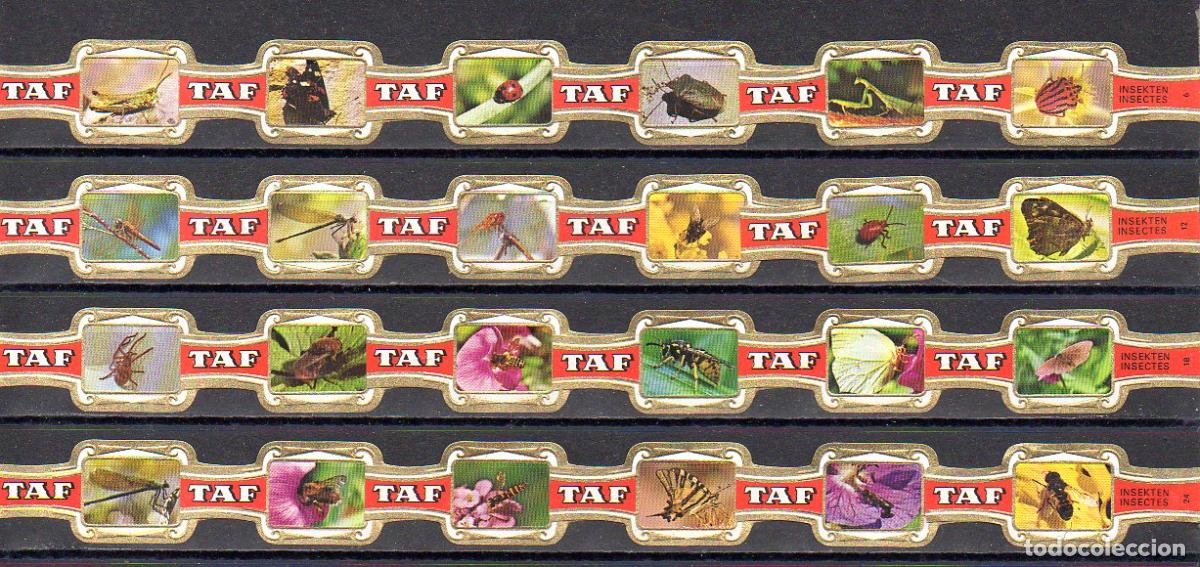 Vitolas de colecci&oacute;n: TAF, INSECTOS, 24 VITOLAS, SERIE COMPLETA.
