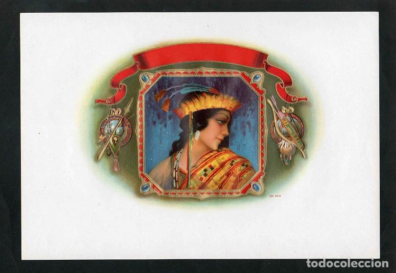 Vitolas de colecci&oacute;n: Vitola, original litograf&iacute;a. Antigua litograf&iacute;a de caja de tabacos. Untitled.