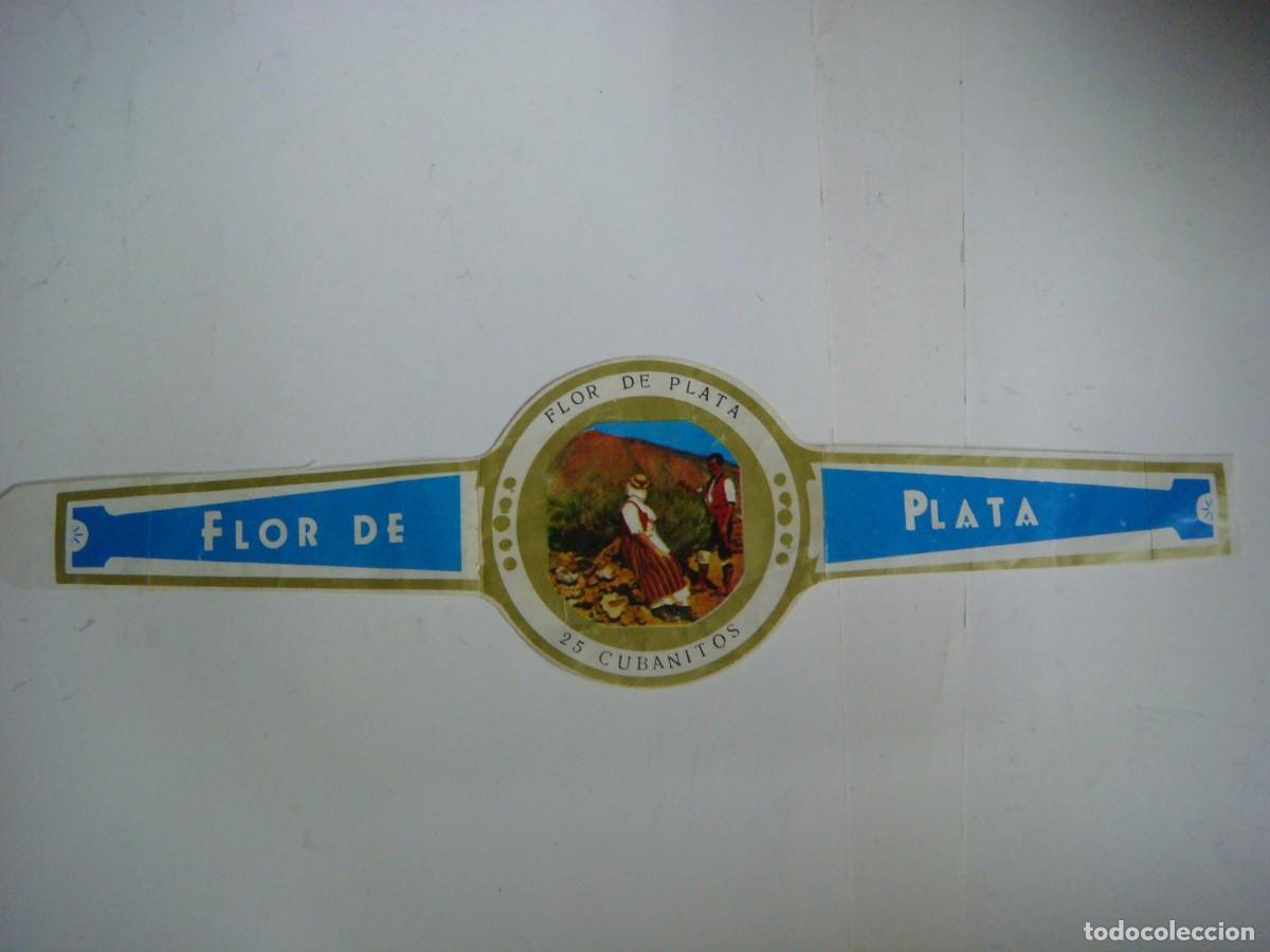 Vitolas de colecci&oacute;n: VITOLA GIGANTE DE FLOR DE PLATA 25 CUBANITOS-CAR-N&ordm;-3