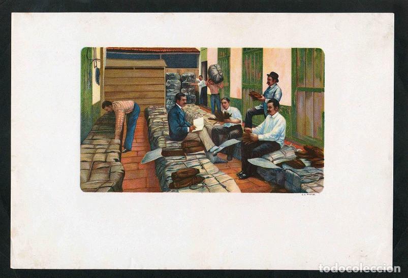 Vitolas de colecci&oacute;n: Vitola, original litograf&iacute;a. Antigua litograf&iacute;a de caja de tabacos. Tabaqueros (Untitled).