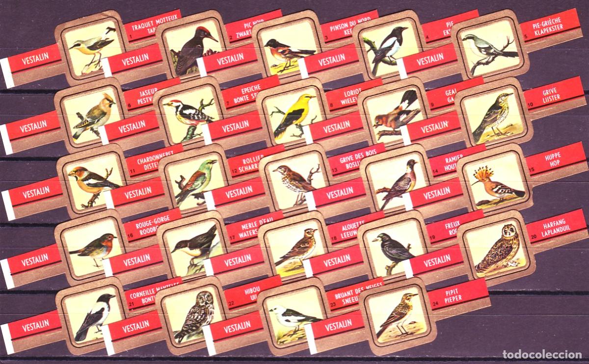 Vitolas de colecci&oacute;n: VESTALIN, PAJAROS, FONDO AMARILLO, 24 VITOLAS, SERIE COMPLETA.