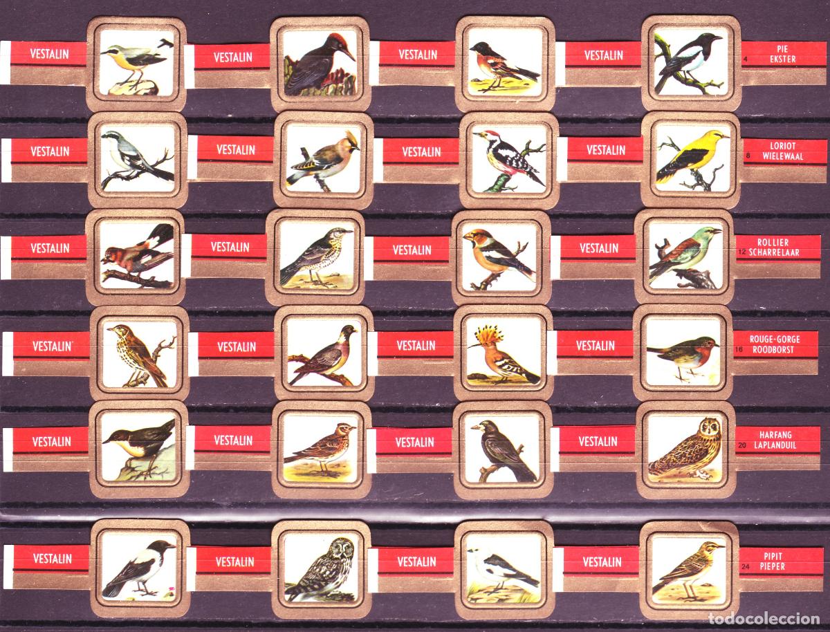 Vitolas de colecci&oacute;n: VESTALIN, PAJAROS, FONDO BLANCO, 24 VITOLAS, SERIE COMPLETA.