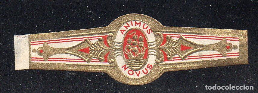 Vitolas de colecci&oacute;n: VITOLA CLASICA: 063029, TEMA BARCOS, ANIMUS NOVUS