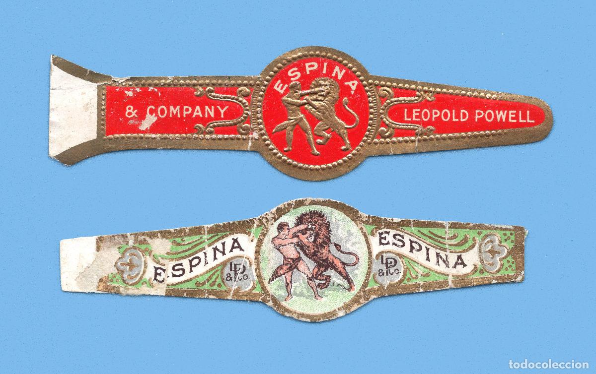 Vitolas de colecci&oacute;n: 2 VITOLAS ANTIGUAS - MARCA ESPINA (USA) - LEOPOLD POWELL- TEM&Aacute;TICA FAUNA. LEONES