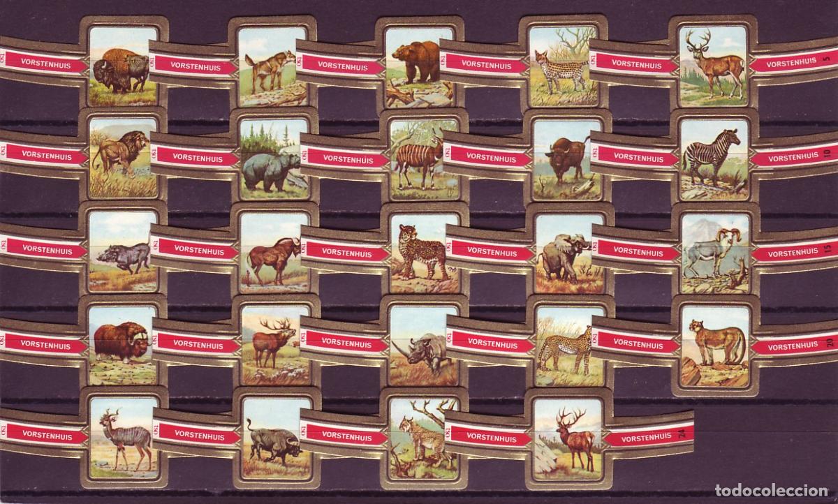 Vitolas de colecci&oacute;n: VORSTENHUIS, ANIMALES SALVAJES, 24 VITOLAS, SERIE COMPLETA.