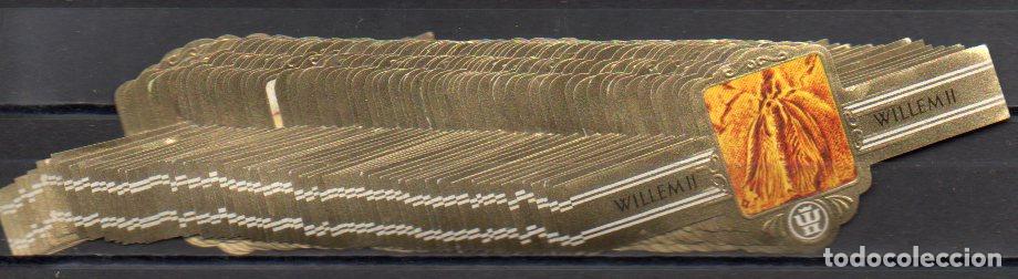 Vitolas de colecci&oacute;n: WILLEM II, INSECTOS, 308 VITOLAS, SERIE COMPLETA.