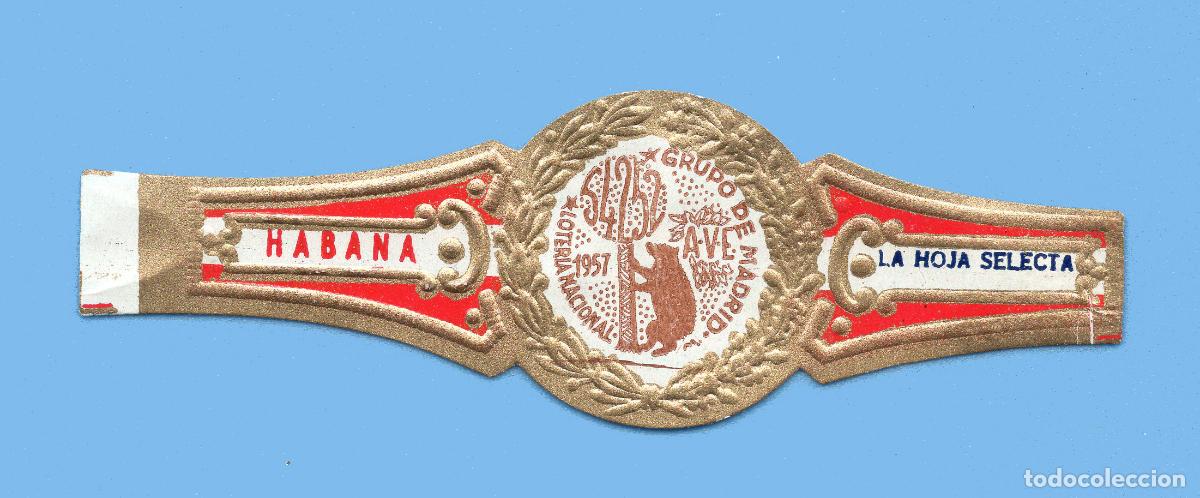 Vitolas de colecci&oacute;n: VITOLA CUBANA ANTIGUA - MARCA LA HOJA SELECTA - A.V.E. GRUPO DE MADRID. LOTER&Iacute;A NACIONAL A&Ntilde;O 1957