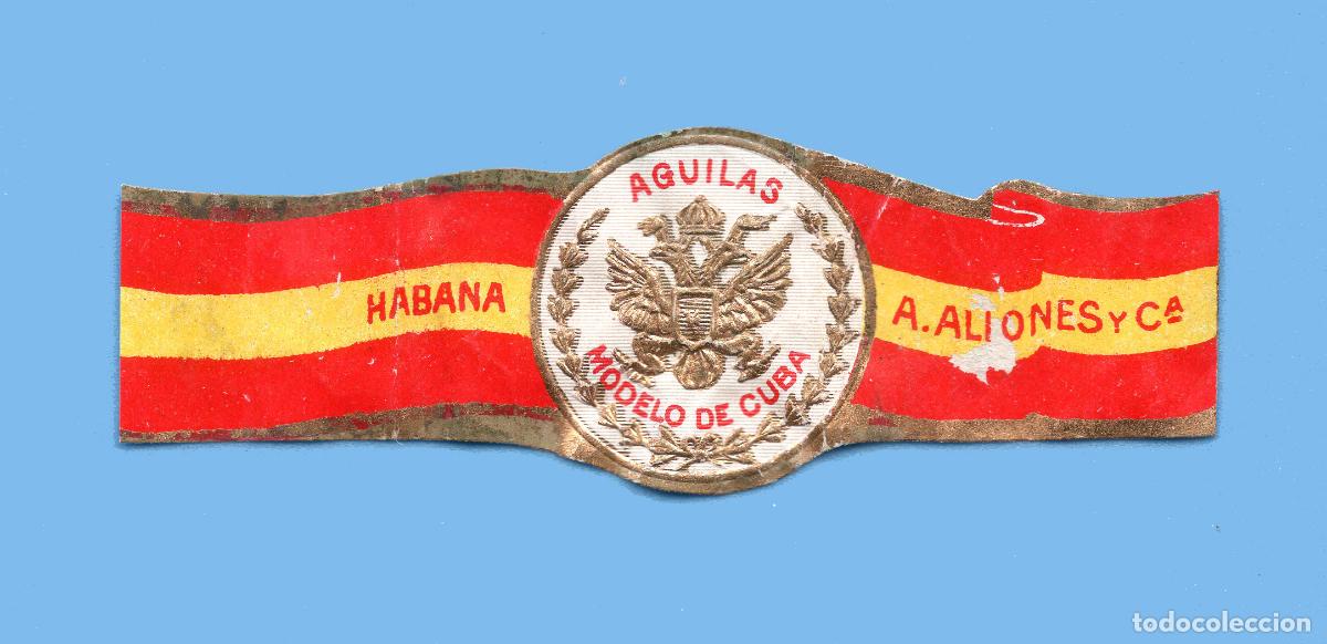Vitolas de colecci&oacute;n: VITOLA ANTIGUA - MARCA MODELO DE CUBA. ANTONIO ALLONES - &Aacute;GUILA HER&Aacute;LDICA